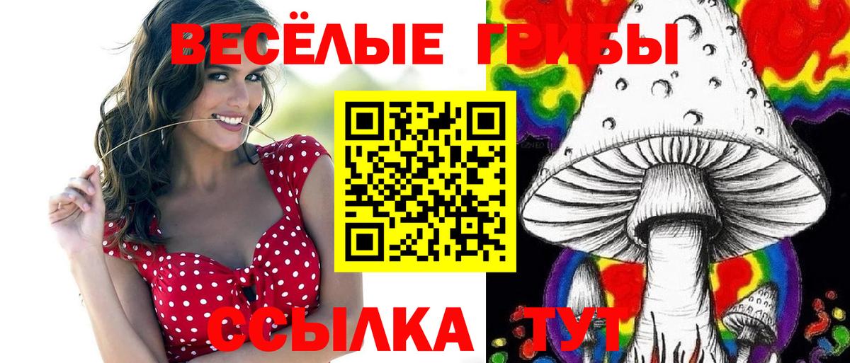 Псилоцибиновые грибы GOLDEN TEACHER Печора
