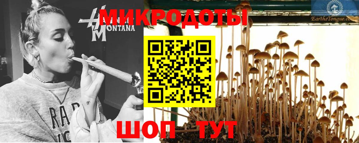 Печора  Псилоцибиновые грибы мухоморы  Галлюциногенные грибы ЛСД  Вход с VPN 